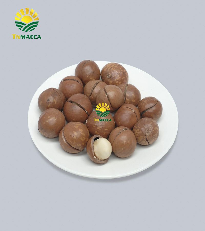 11.hat-macca-uc-mourad-s-500g-va-hat-macca-my-tach-vo-gia-bao-nhieu