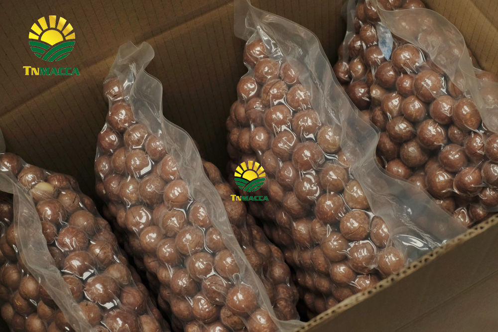 15.hat-macca-uc-dac-diem-uu-diem-va-han-che-cua-macca-uc