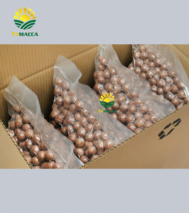 1.3-cach-lam-sua-hat-macca-ket-hop-voi-hat-oc-cho-dau-den-yen-mach