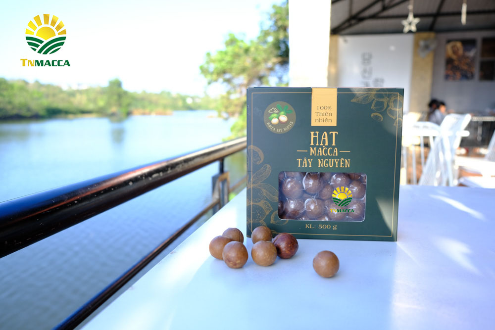 20.mua-hat-macca-o-dau-uy-tin-tai-ha-noi-voi-gia-si-va-chat-luong