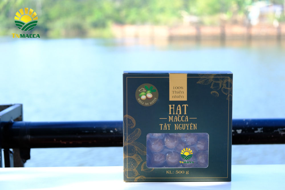 6.tac-dung-cua-hat-macca-4-tac-dung-chinh-cho-moi-lua-tuoi