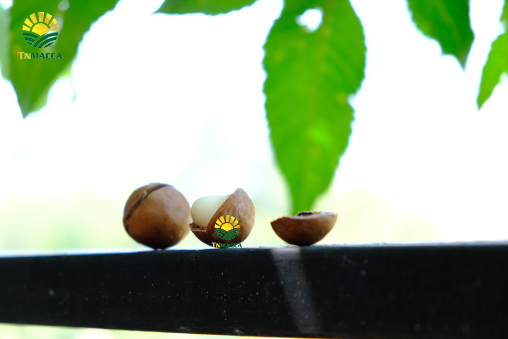 8.cach-rang-say-hat-macca-nguyen-vo-bang-chao-lo-nuong-va-lo-vi-song