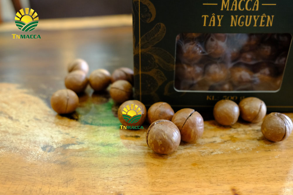 9.hạt macca tươi