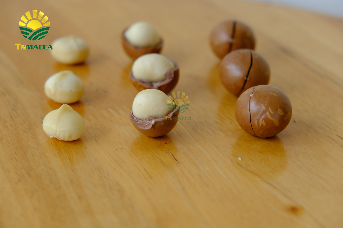 hat-macca-gia-si-cach-chon-san-pham-macca-chat-luong-ma-gia-si