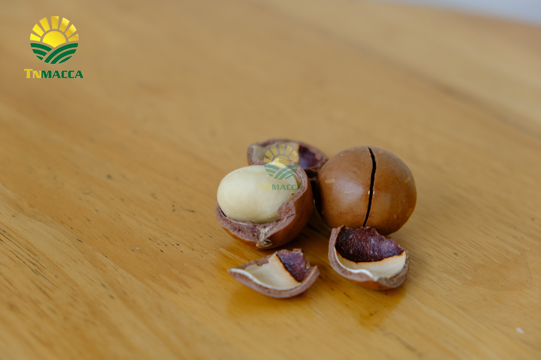 cach-rang-hat-macca-3-cach-rang-hat-macca-duoc-dung-pho-bien