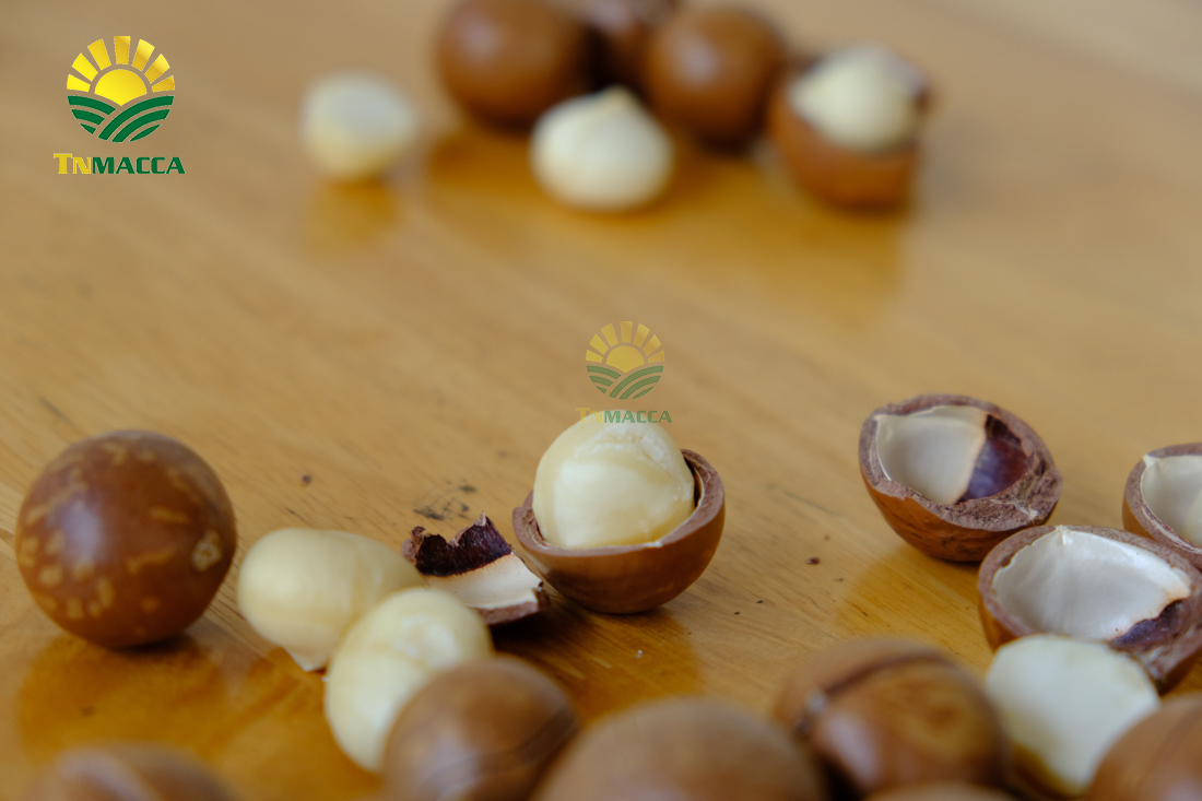 hat-macca-uc-tach-vo-gia-bao-nhieu-mua-hat-macca-haiwaii-o-dau