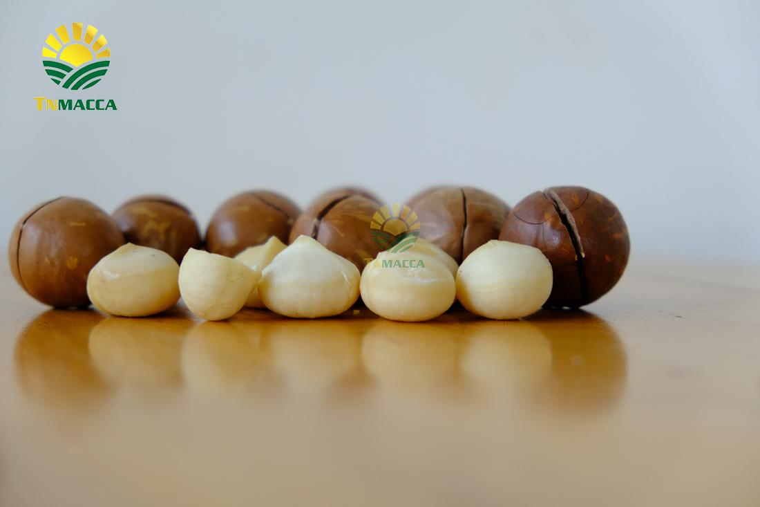 hat-macca-uc-tach-vo-gia-bao-nhieu-mua-hat-macca-haiwaii-o-dau