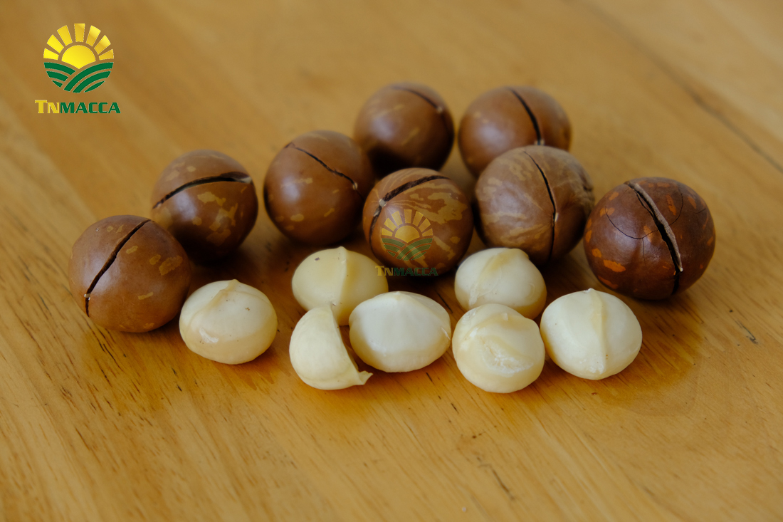 gia-hat-macca-4-cach-chon-san-pham-hat-macca-chat-luong-gia-tot