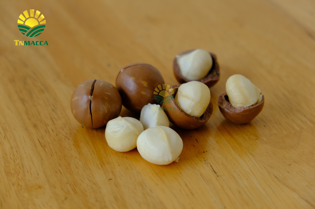 cach-lam-sua-hat-macca-voi-bi-do-hat-sen-hat-dieu-kieu-han-quoc-4300