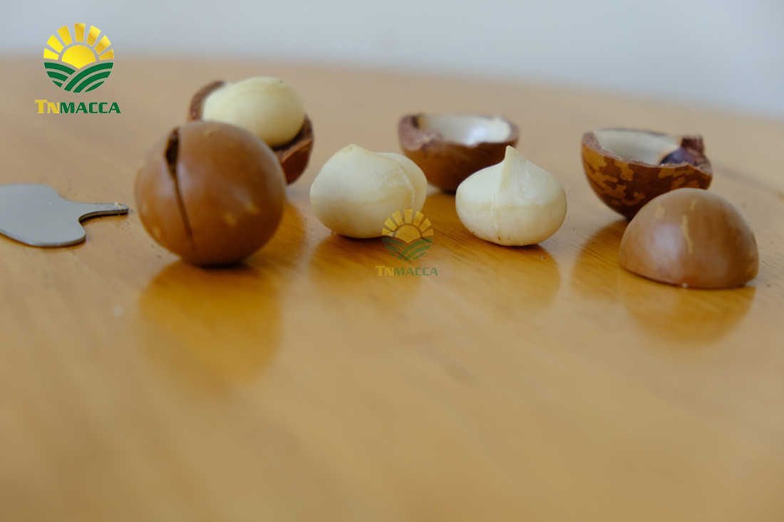 gia-hat-macca-da-tach-vo-ngon-boc-san-dong-hop-tai-vinmart-ha-noi-4282