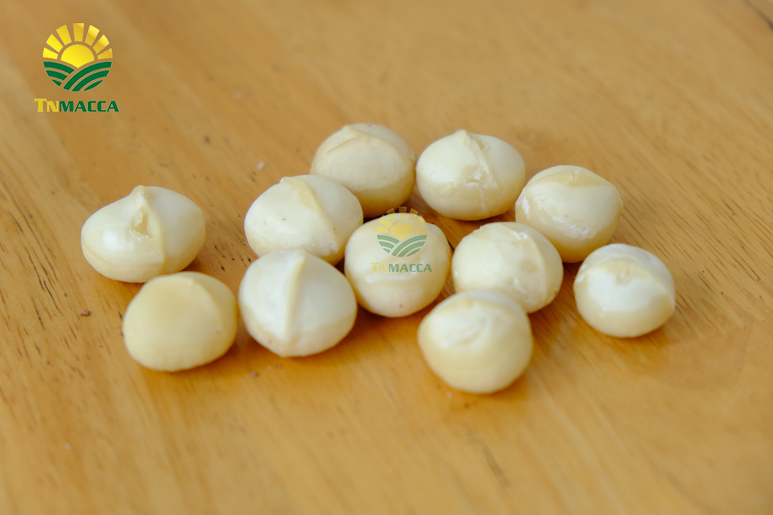 hat-macca-tay-nguyen-3-vung-trong-macca-lon-nhat-tai-tay-nguyen