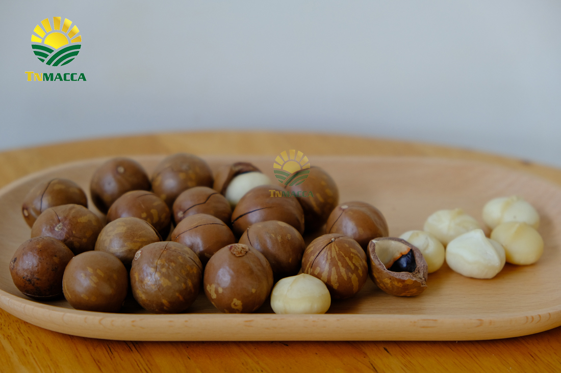 nen-an-bao-nhieu-hat-macca-moi-ngay