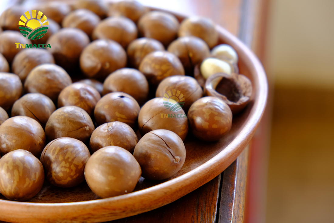 hat-macca-daklak-5-san-pham-hot-duoc-che-bien-tu-hat-macca-daklak-