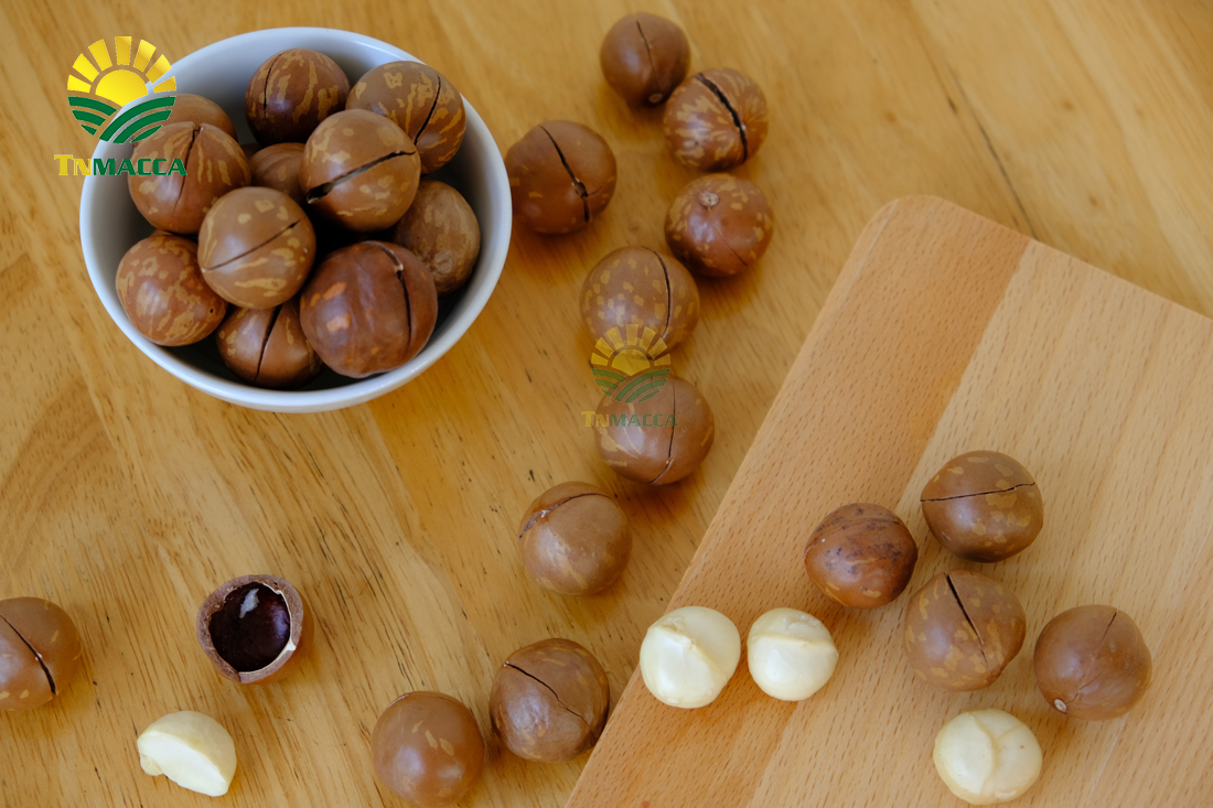 hat-mac-ca-uc-va-hat-mac-ca-viet-1-cuoc-chien-moi-bat-dau