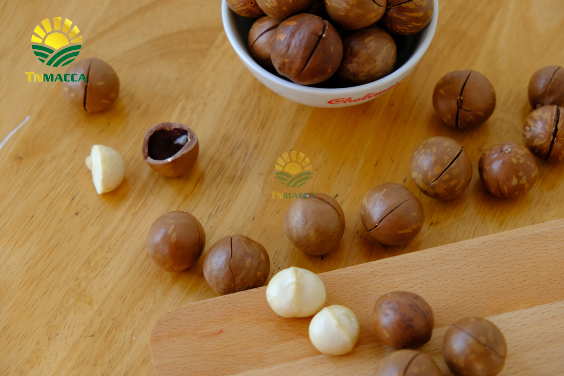 hat-macadamia-uc-nu-hoang-la-gi-va-co-tac-dung-gi-gia-bao-nhieu
