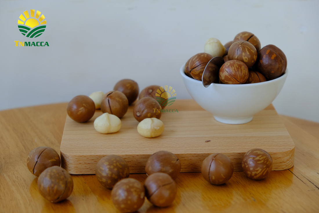 hat-macadamia-uc-nu-hoang-la-gi-va-co-tac-dung-gi-gia-bao-nhieu