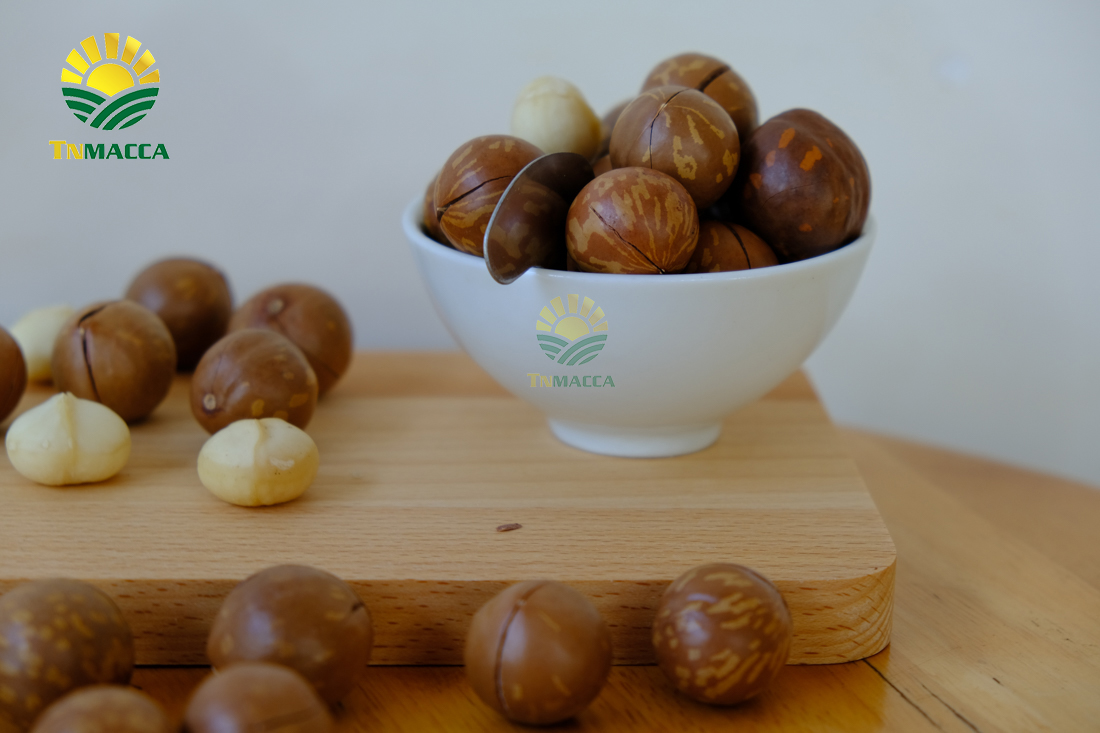 gia-hat-macca-4-cach-chon-san-pham-hat-macca-chat-luong-gia-tot