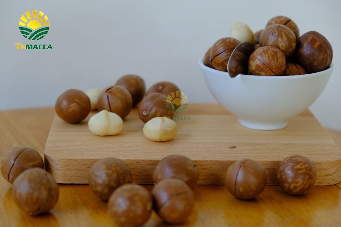 hat-macca-lam-dong-3-sai-lam-khi-mua-hat-macca-tai-lam-dong