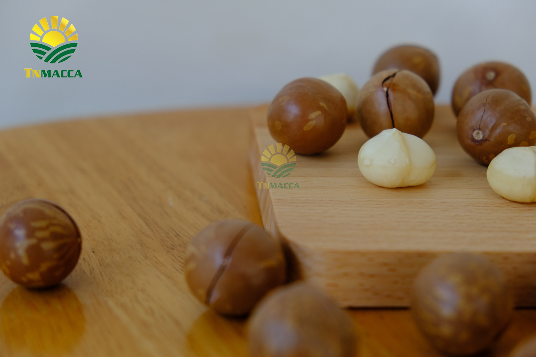 tac-dung-cua-hat-macca-voi-tre-em-hinh-anh-nhan-hat-macca