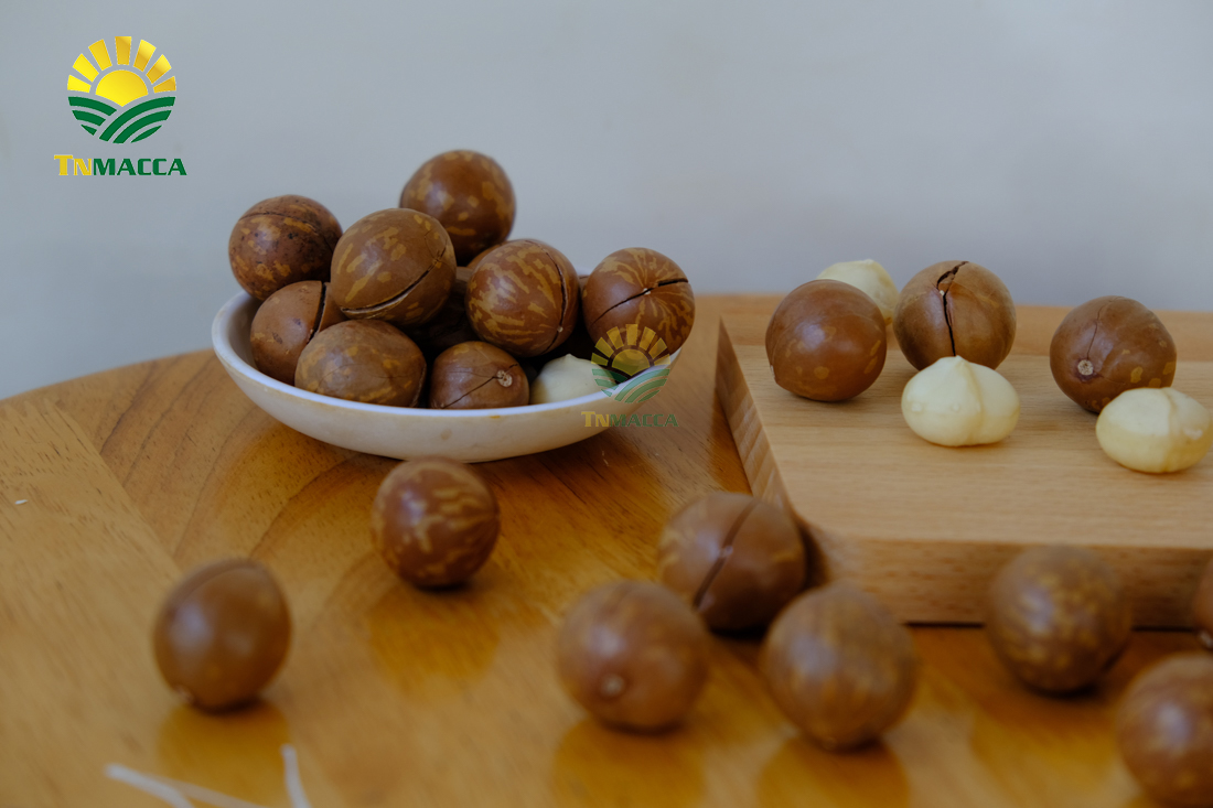 hat-macca-daklak-5-san-pham-hot-duoc-che-bien-tu-hat-macca-daklak-