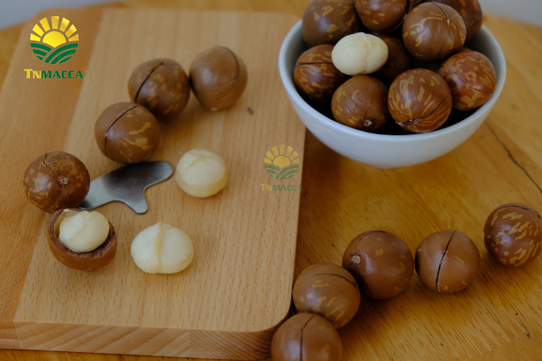 cach-rang-say-hat-macca-nguyen-vo-bang-chao-lo-nuong-va-lo-vi-song