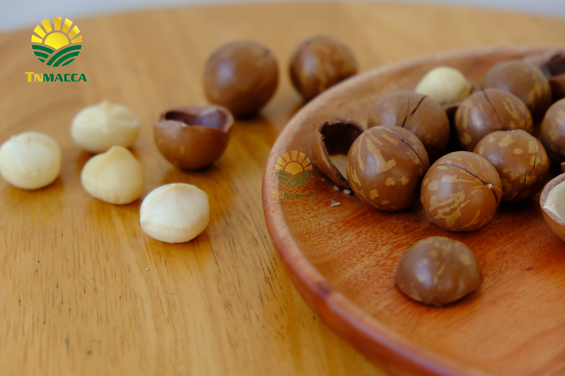 ban-hat-macca-6-kinh-nghiem-ban-macca-trong-nuoc-va-xuat-khau