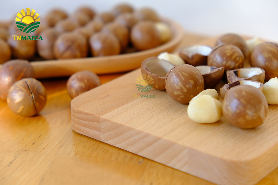 tac-dung-cua-hat-macca-4-tac-dung-chinh-cho-moi-lua-tuoi