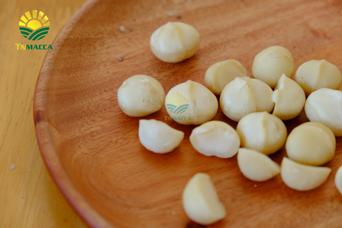 hat-macca-tay-nguyen-3-vung-trong-macca-lon-nhat-tai-tay-nguyen