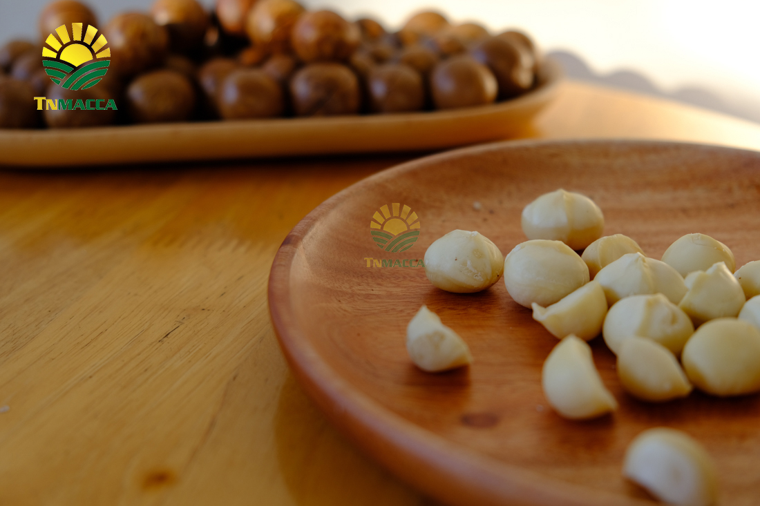 hat-macca-trung-quoc-5-cach-de-nhan-biet-macca-trung-quoc