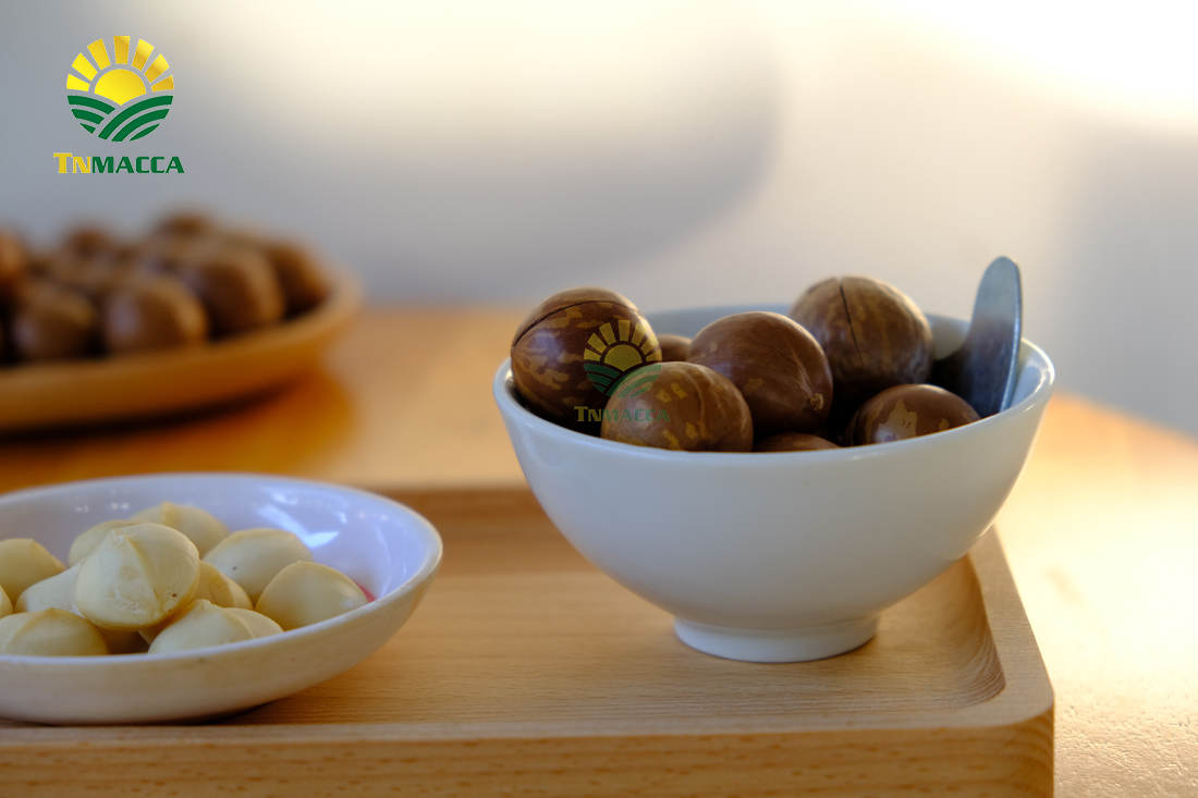 mua-hat-macca-o-dau-uy-tin-tai-ha-noi-voi-gia-si-va-chat-luong