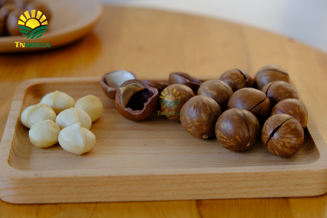 hat-macca-uc-dac-diem-uu-diem-va-han-che-cua-macca-uc-