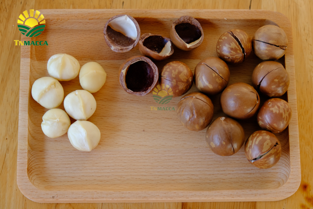 cach-su-dung-hat-macca-va-an-bao-nhieu-khi-nao-la-du-de-giam-can