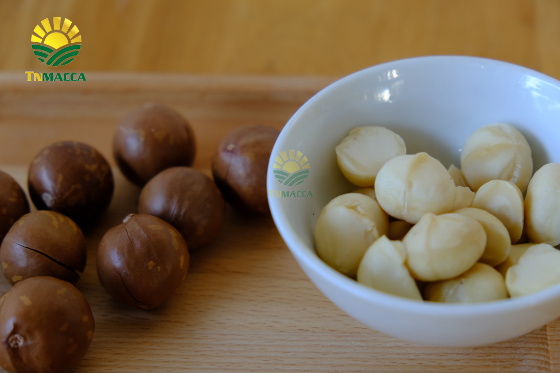 hat-mac-ca-uc-va-hat-mac-ca-viet-1-cuoc-chien-moi-bat-dau