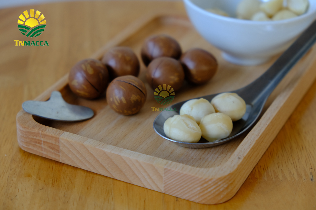 4-tac-dung-cua-hat-macca-voi-ba-bau-cach-su-dung-an-de-tot-nhat