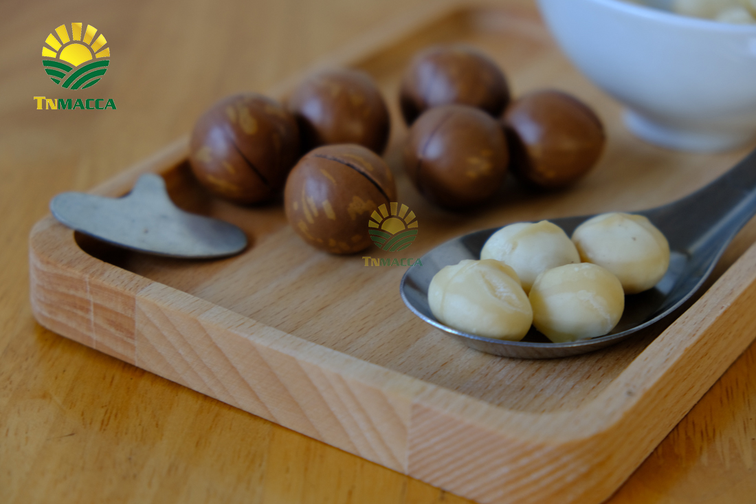 hat-macca-uc-dac-diem-uu-diem-va-han-che-cua-macca-uc-