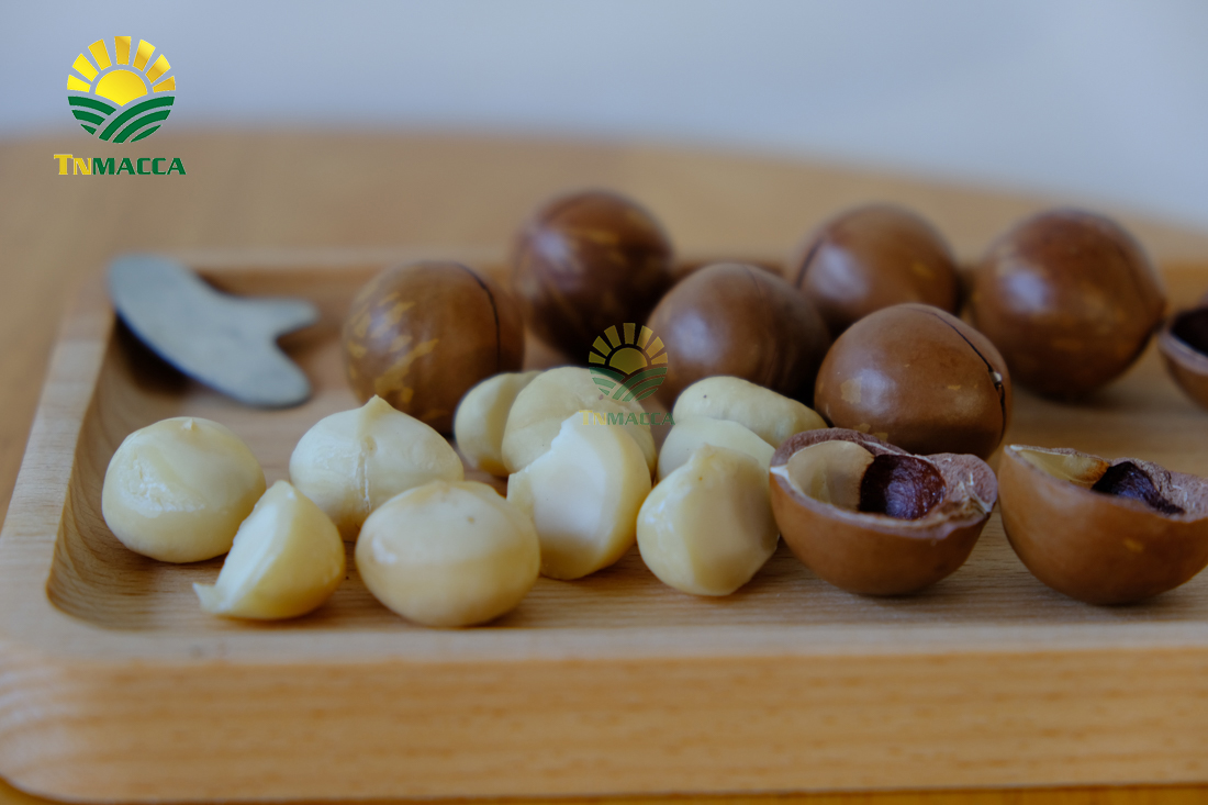 hat-macca-daklak-5-san-pham-hot-duoc-che-bien-tu-hat-macca-daklak-