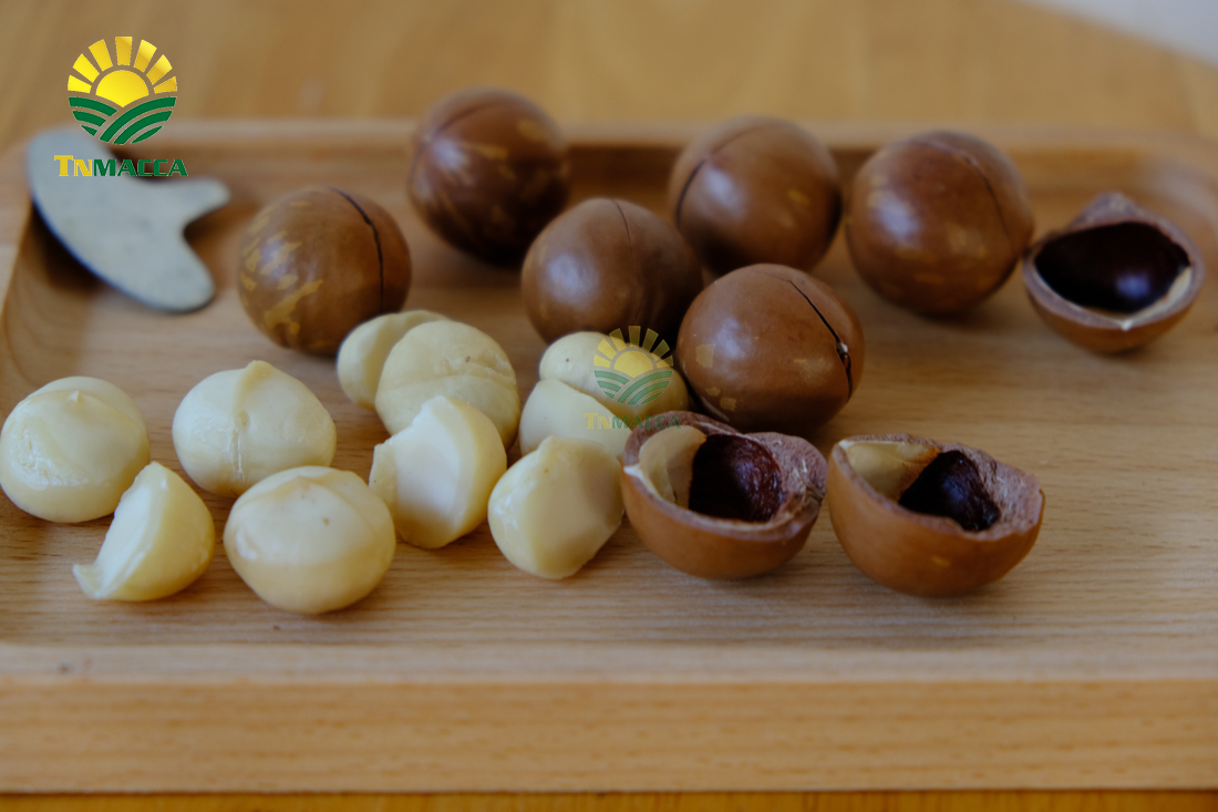 hat-mac-ca-uc-va-hat-mac-ca-viet-1-cuoc-chien-moi-bat-dau