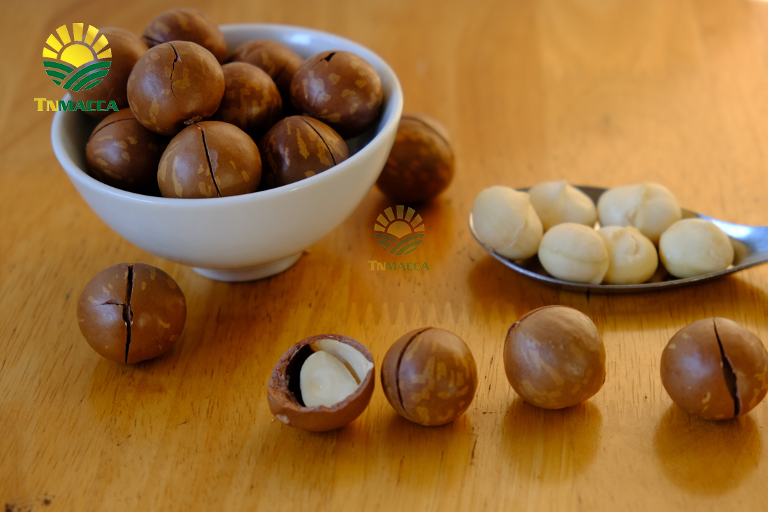 cach-su-dung-hat-macca-va-an-bao-nhieu-khi-nao-la-du-de-giam-can