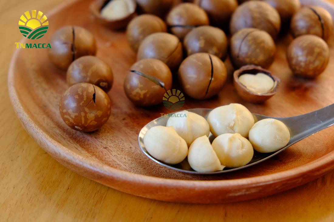 cach-su-dung-hat-macca-va-an-bao-nhieu-khi-nao-la-du-de-giam-can