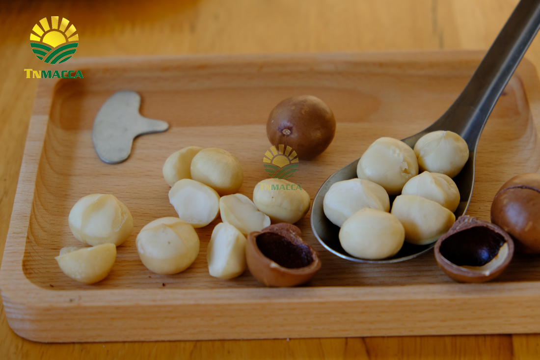 hat-macca-uc-tach-vo-gia-bao-nhieu-mua-hat-macca-haiwaii-o-dau