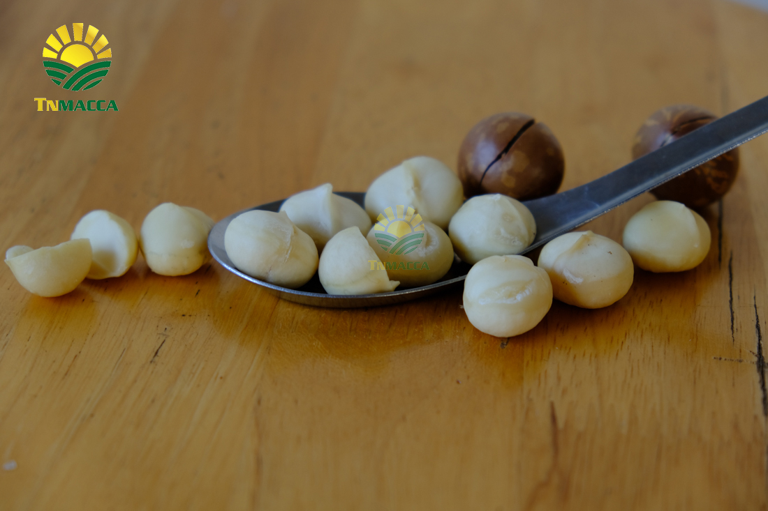 4-tac-dung-cua-hat-macca-voi-ba-bau-cach-su-dung-an-de-tot-nhat