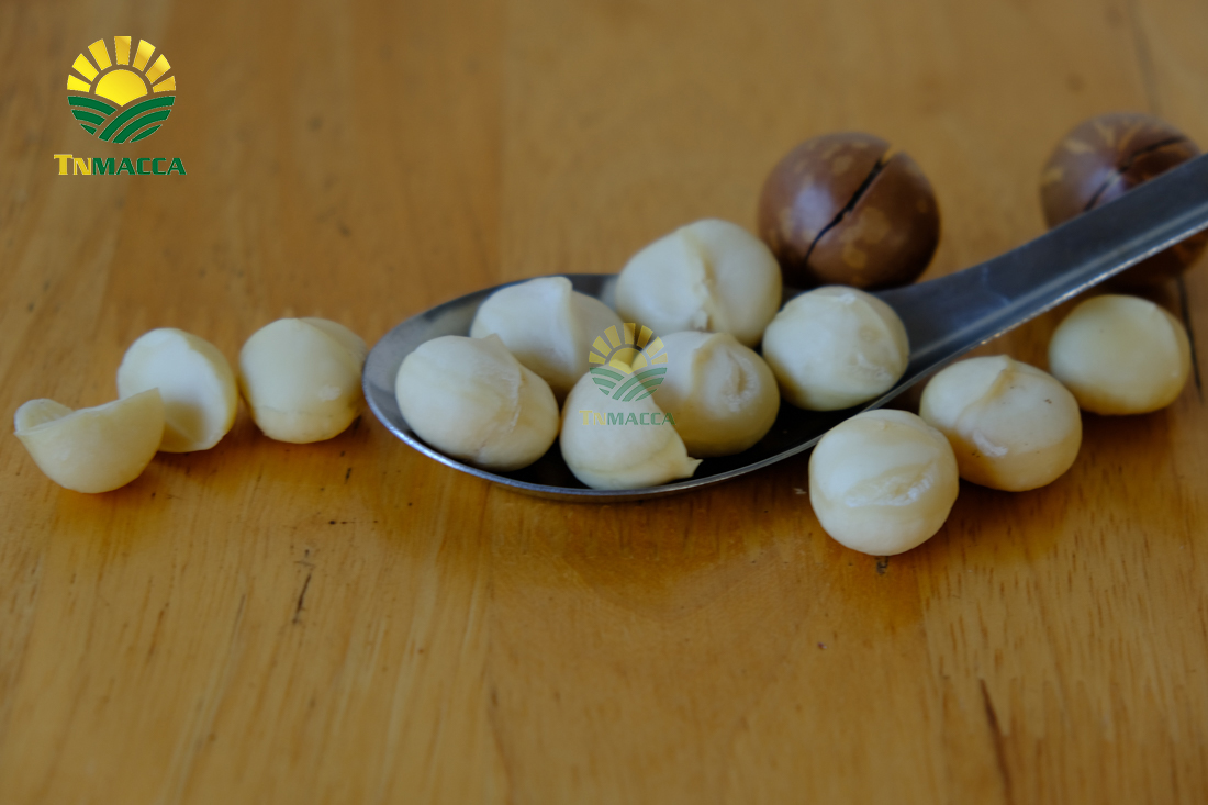 cach-su-dung-hat-macca-va-an-bao-nhieu-khi-nao-la-du-de-giam-can