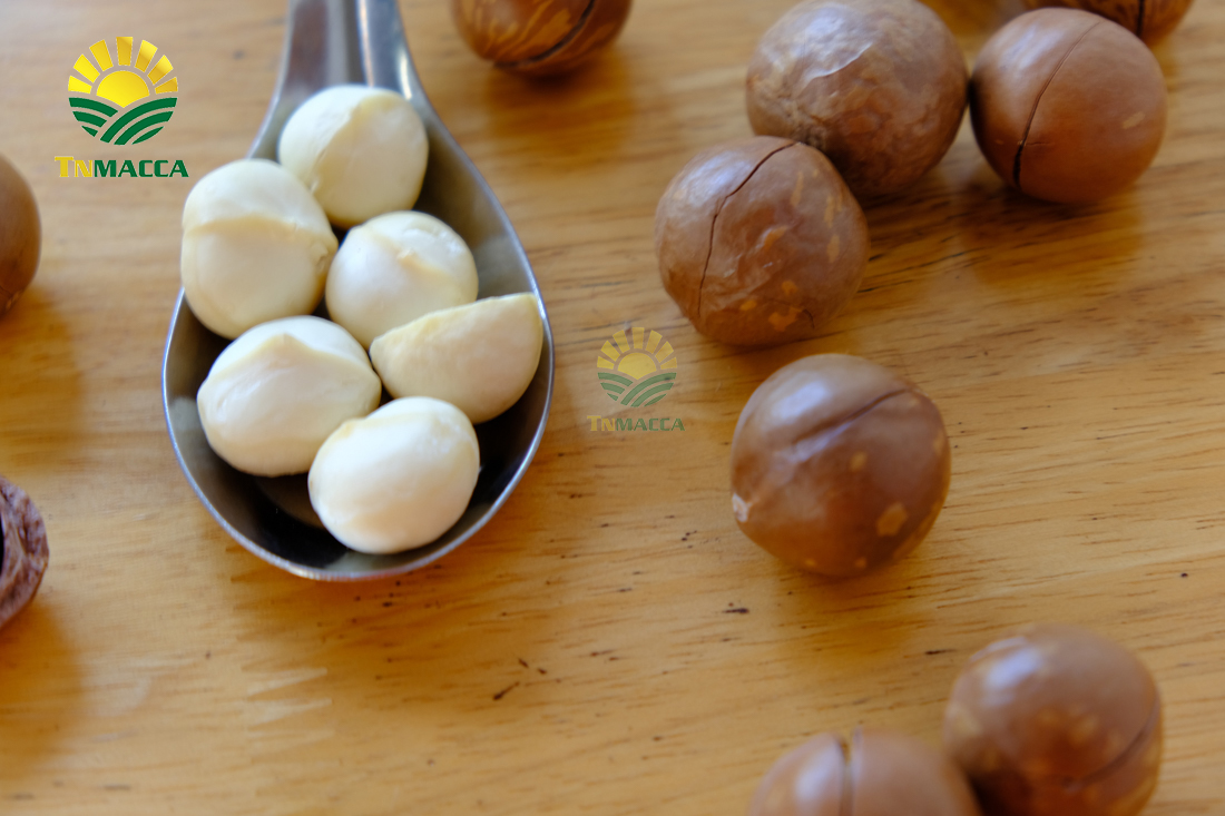 hat-macca-lam-dong-3-sai-lam-khi-mua-hat-macca-tai-lam-dong