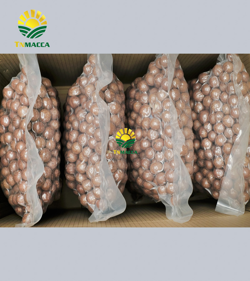 5.cach-lam-bot-ngu-coc-voi-hat-macca-hat-macca-tot-hon-hat-oc-cho