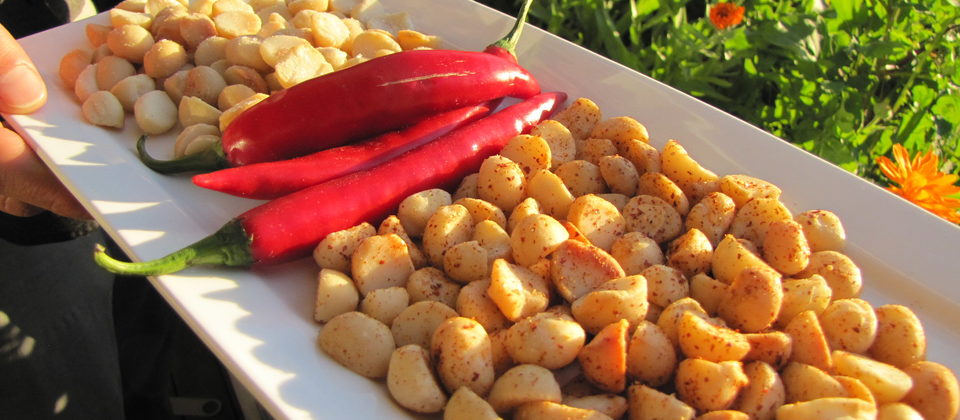 cach-rang-hat-mac-ca