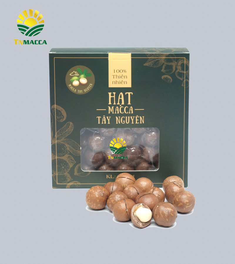 3.hat-macca-gia-bao-nhieu-1-kg