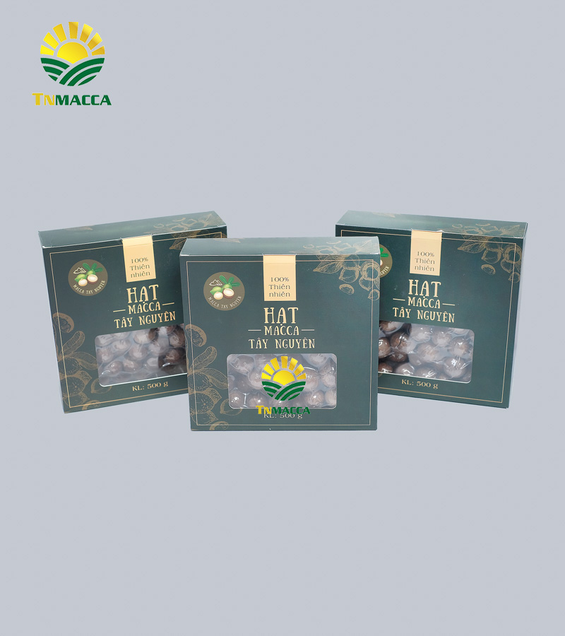 5.hat-macca-tay-nguyen-3-vung-trong-macca-lon-nhat-tai-tay-nguyen