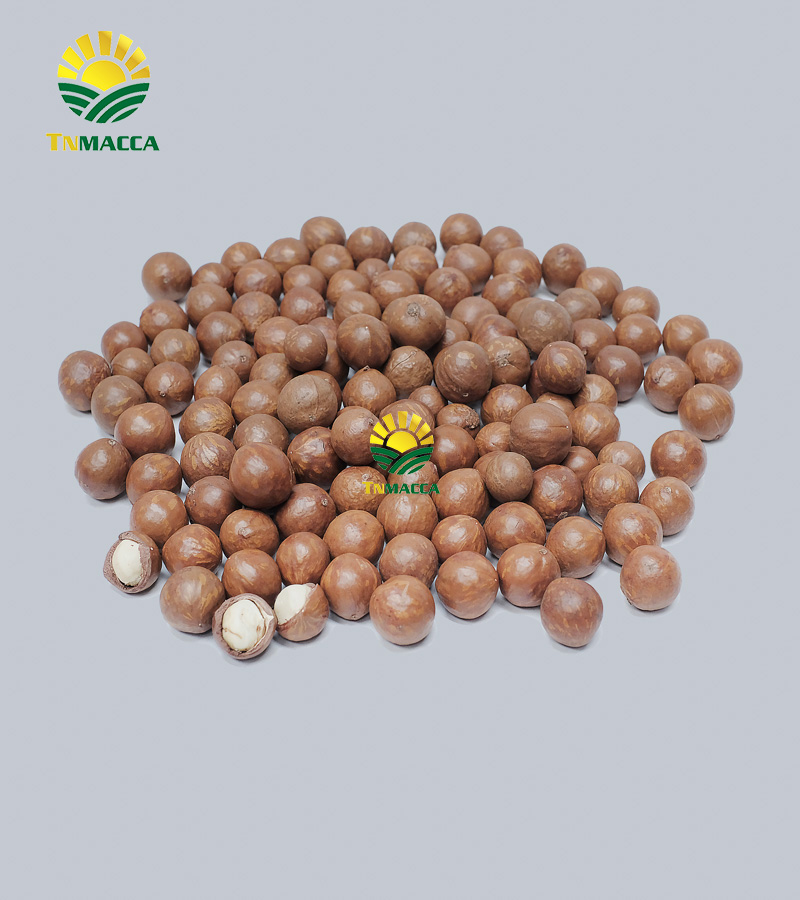 6.hat-macca-uc-tach-vo-gia-bao-nhieu-mua-hat-macca-haiwaii-o-dau-