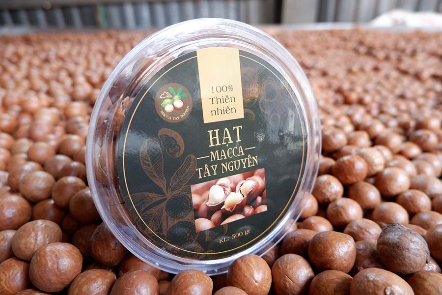 hat-maccadamia-nhin-ra-sao