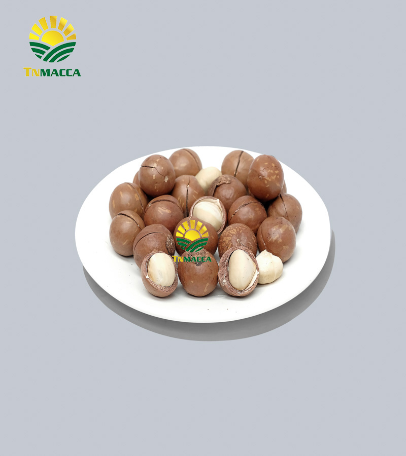 3.nen-an-bao-nhieu-hat-macca-moi-ngay